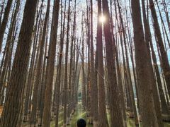 -采石矶景区