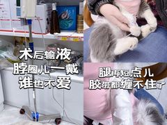 -达爱动物医院·犬猫分区·CT·复杂眼科(远洋山水分院)