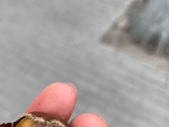 糖炒栗子-秋栗香(地安门店)