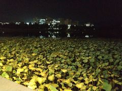 -江南大学(蠡湖校区)