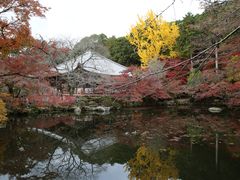-醍醐寺