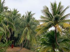 -白沙门生态公园
