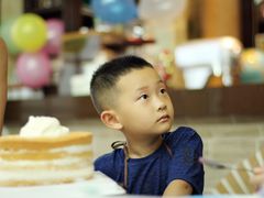 -咖咖熊蛋糕定制·蓝风车动物奶油