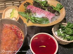 -大龙燚·旷野鲜火锅(广州首店)