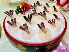 罗氏虾虾生-寻味顺德·南记酒家·传统顺德菜·鱼生(广源路店)