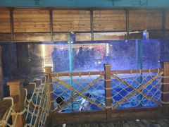 -海合安青岛极地海洋公园