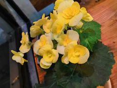 -啊噗吐呦现场烘焙(麦凯乐店)