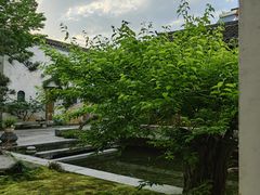 -新安江山水画廊风景区