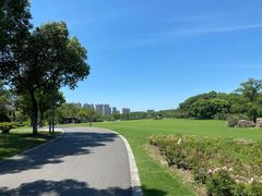 -昆山城市公园