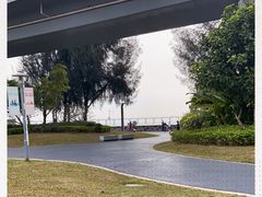 -宝安西湾红树林湿地公园