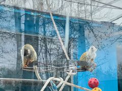 -秦皇岛野生动物园
