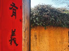 -杨家堂村
