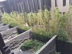 -上海崇明金茂凯悦酒店