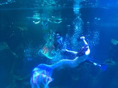 -石家庄海洋公园