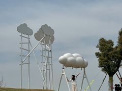 -苏州太湖西山岛开心农场