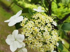 -玄武湖景区-情侣园游乐场