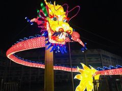 -锦江乐园舞狸花花游园会(夜场专享)