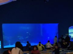 -常州海昌海洋探索馆
