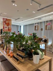 点击看大图 -dōTERRA多特瑞精油生活馆