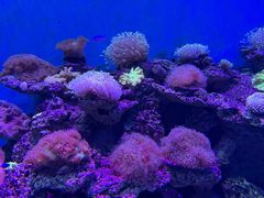 -石家庄极地海洋世界