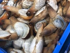 -盒马鲜生(曜一城店)