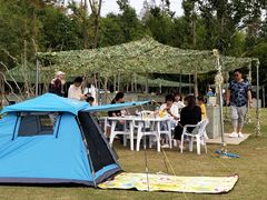 -上海长兴岛郊野公园