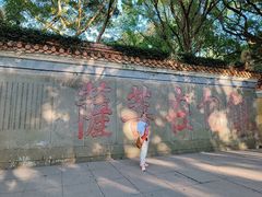 -普陀山风景名胜区-法雨禅寺