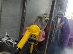 -宠福鑫康馨动物医院·骨科·眼科