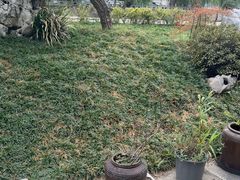 -月栖华明-云间草堂清茶馆(泗泾古镇店)