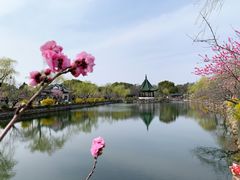 -无锡蠡湖国家湿地公园-蠡园