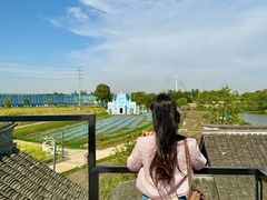-杭州湾海上花田景区