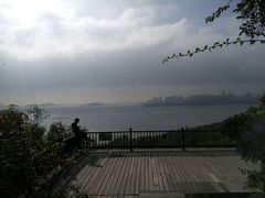 -野狸岛