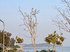 -坝光海滩