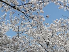 -龙美术馆(西岸馆)