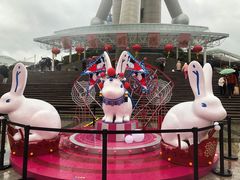 -东方明珠广播电视塔