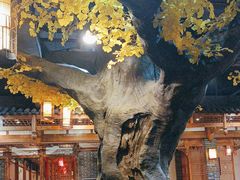 -百年川椒重庆老火锅(光谷店)
