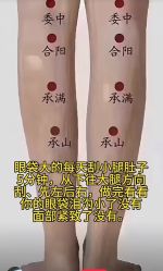 -玛莲朵·海菲秀冰珀科