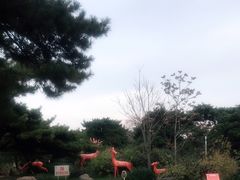 -万泉公园