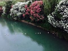 -暨阳湖生态园