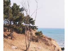 -青岛银沙滩