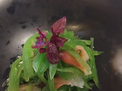 莴笋丝拌北极裙边-江仙雅居(苏州桥店)