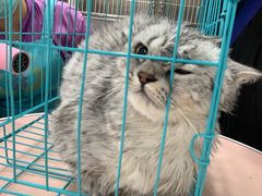 -宠颐生中康贝怡动物医院