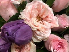 -植物学家的女儿(北马道巷店)