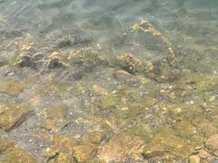 -抚仙湖禄充风景区