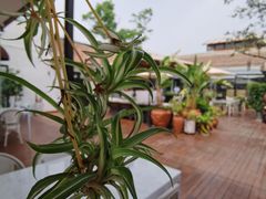 -素心小筑(后沙裕镇店)