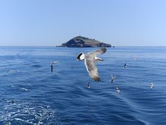 -海驴岛(荣成市)