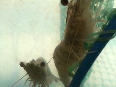 -2048香辣虾(七星岗店)