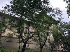 -武汉大学-樱园