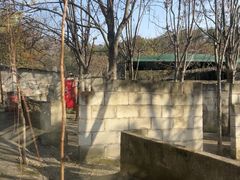-东湖小天池真人CS彩弹野战基地