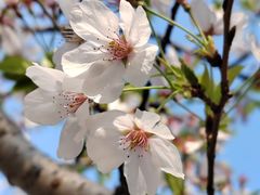 -西北湖绿化广场